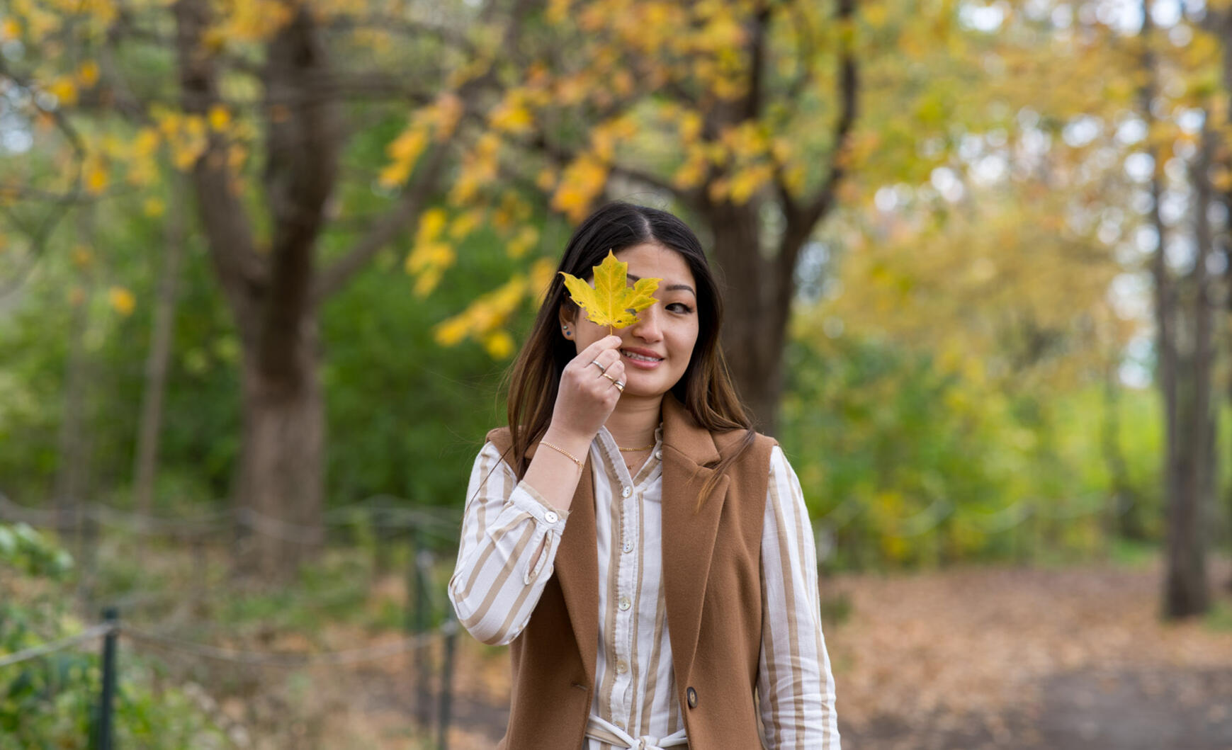 Fall Model